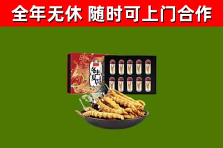孟津县回收冬虫夏草价格